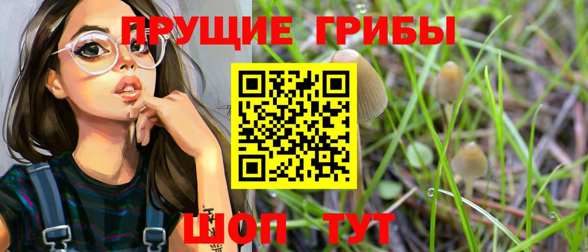 Костомукша  Галлюциногенные грибы Cubensis  Вход с VPN 